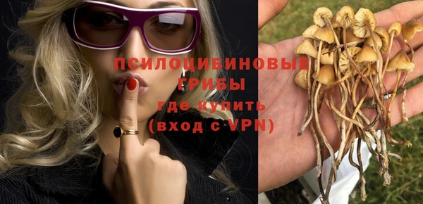 таблы Белокуриха