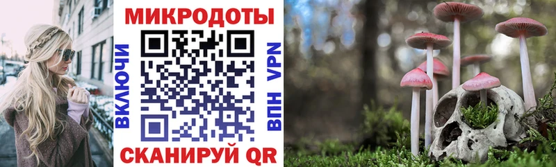 как найти   Семикаракорск  Псилоцибиновые грибы GOLDEN TEACHER 